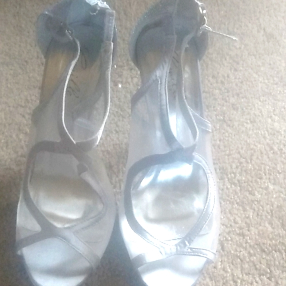Beautiful Silver Designer Shoes